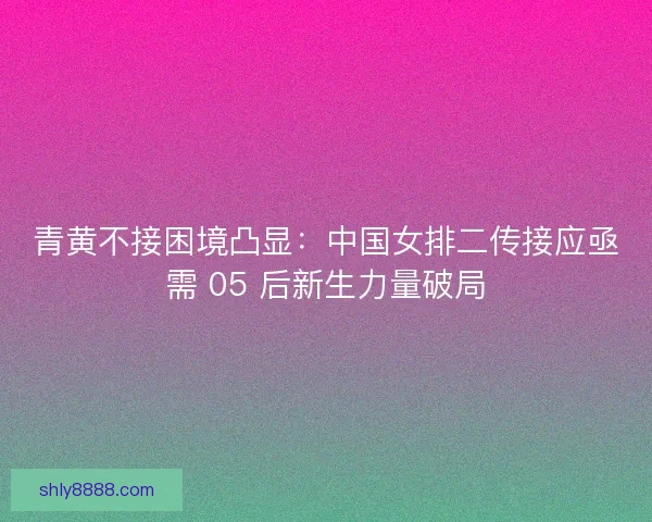 青黄不接困境凸显：中国女排二传接应亟需 05 后新生力量破局